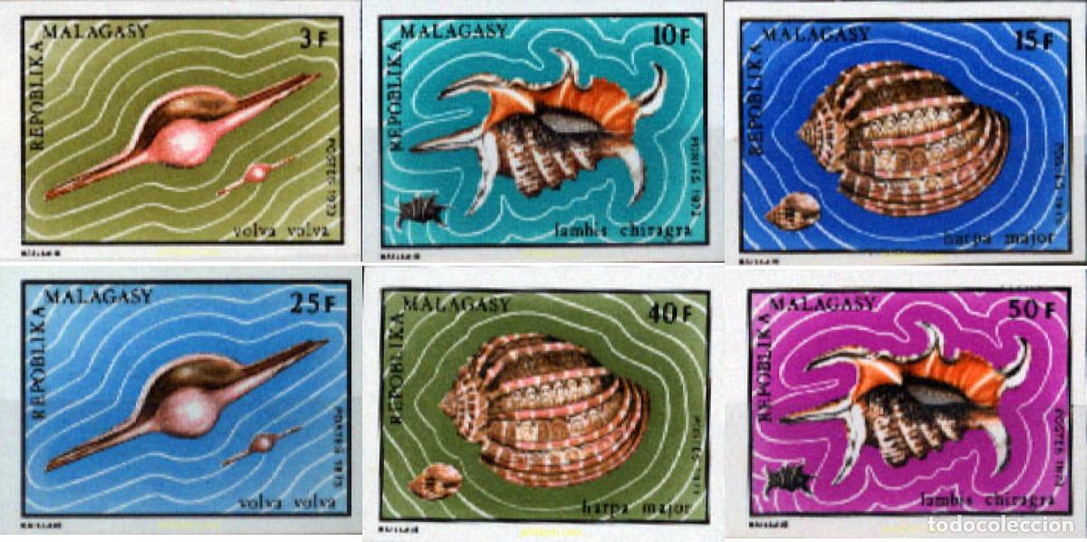 Sellos: 193489 MNH MADAGASCAR 1973 CONCHAS