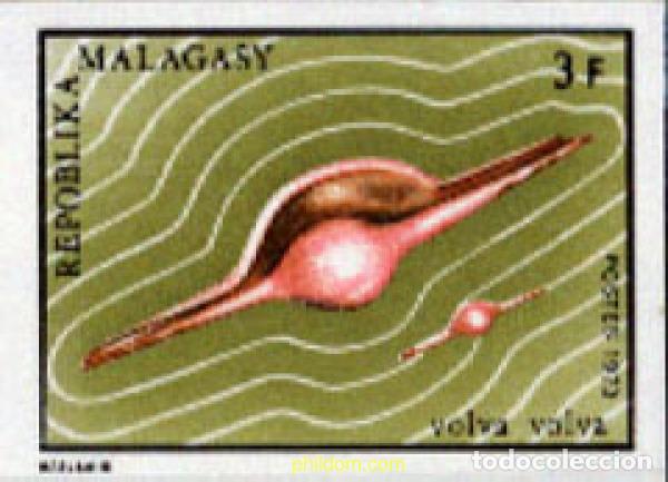 Sellos: 218845 MNH MADAGASCAR 1973 CONCHAS