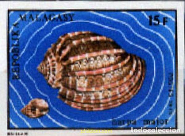 Sellos: 218847 MNH MADAGASCAR 1973 CONCHAS