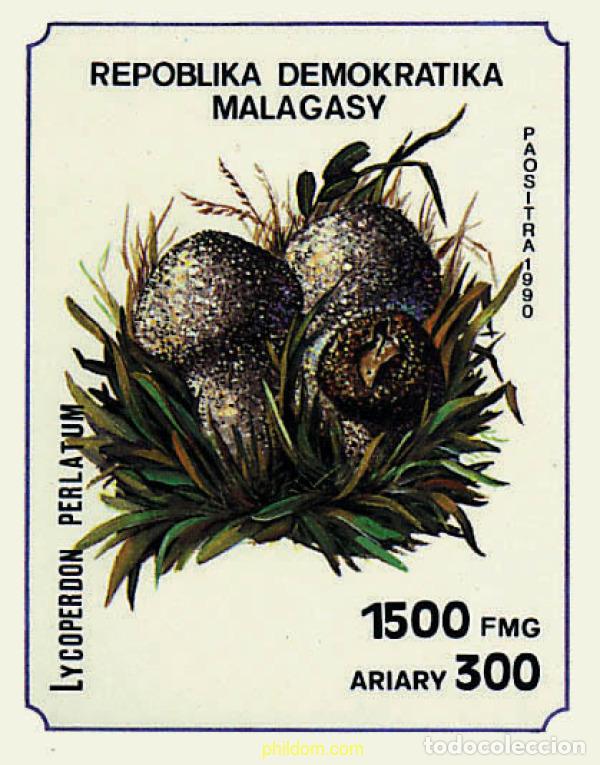 Timbres: 68296 MNH MADAGASCAR 1990 SETAS
