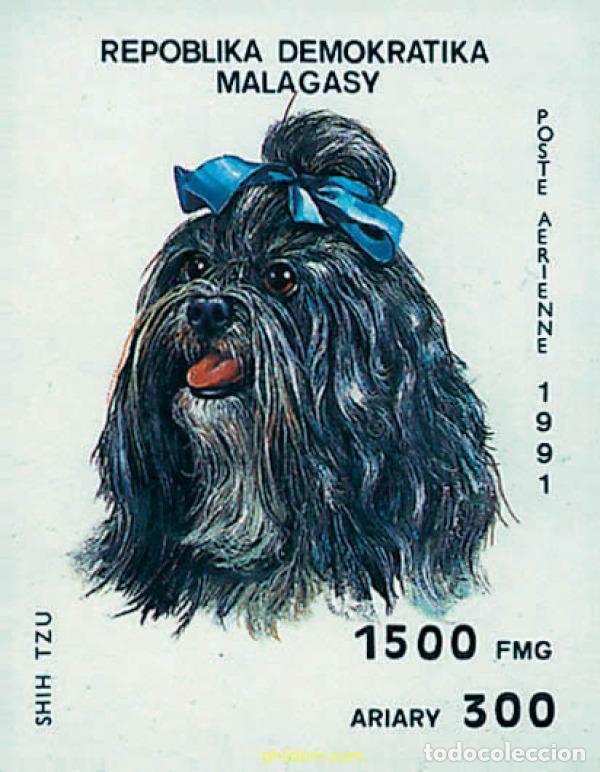 Briefmarken: 47739 MNH MADAGASCAR 1991 PERROS DE RAZA