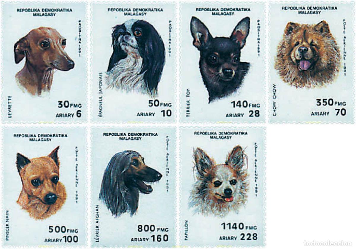 Timbres: 57678 MNH MADAGASCAR 1991 PERROS DE RAZA