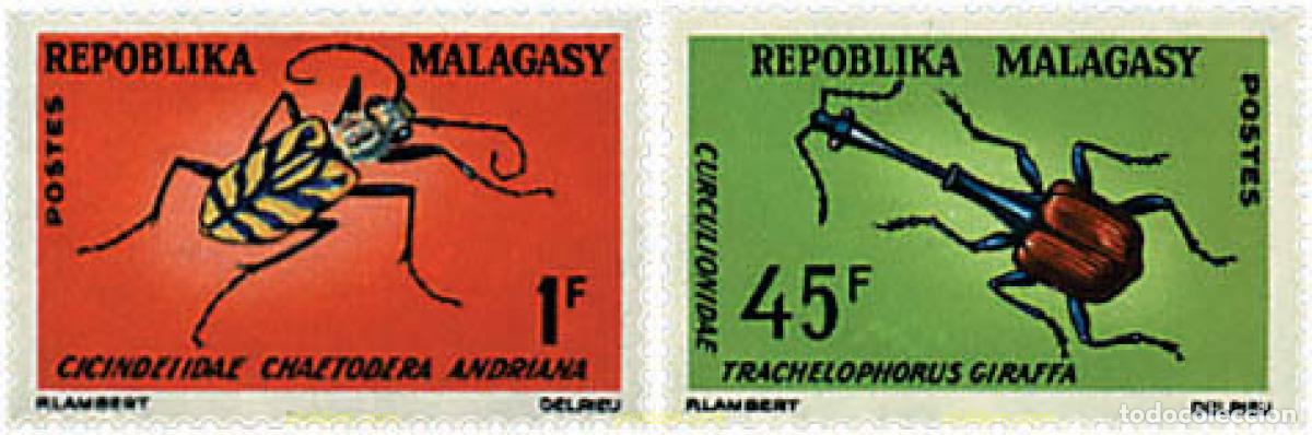 Sellos: 594710 MNH MADAGASCAR 1966 INSECTOS