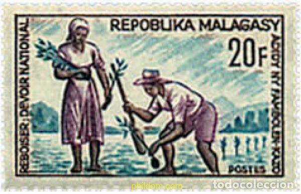 Briefmarken: 218923 MNH MADAGASCAR 1966 REFORESTACION