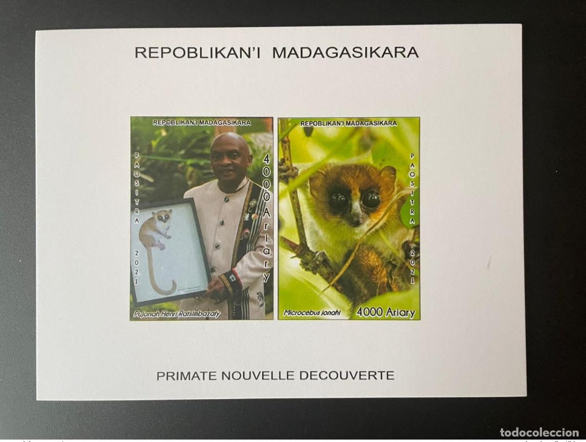 Selos: Madagascar 2021 Mi. 2722 - 2723 Block Deluxe Proof Lemurians Microcebus 2 val.