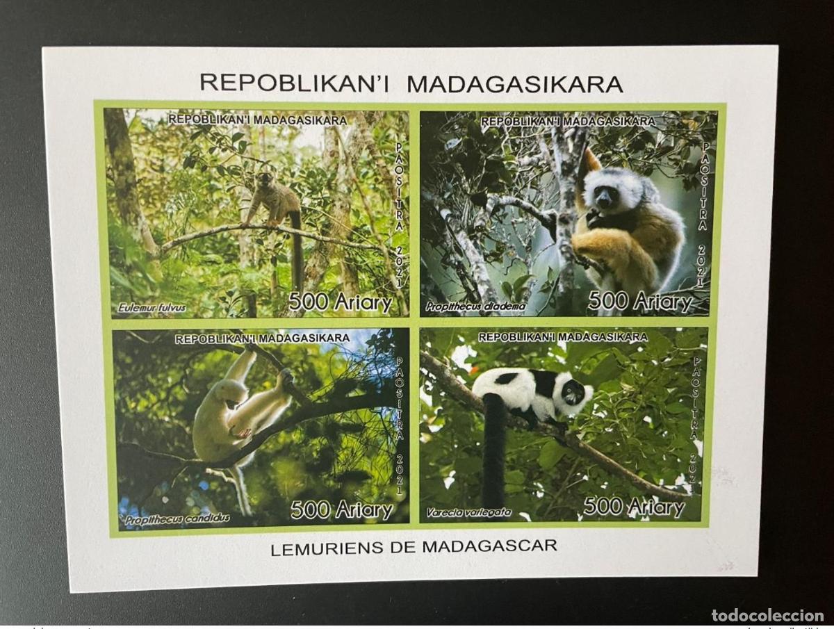 Selos: Madagascar 2021 Mi. 2718 - 2721 Lemurians de lujo a prueba bloques Propithecus 4 val.