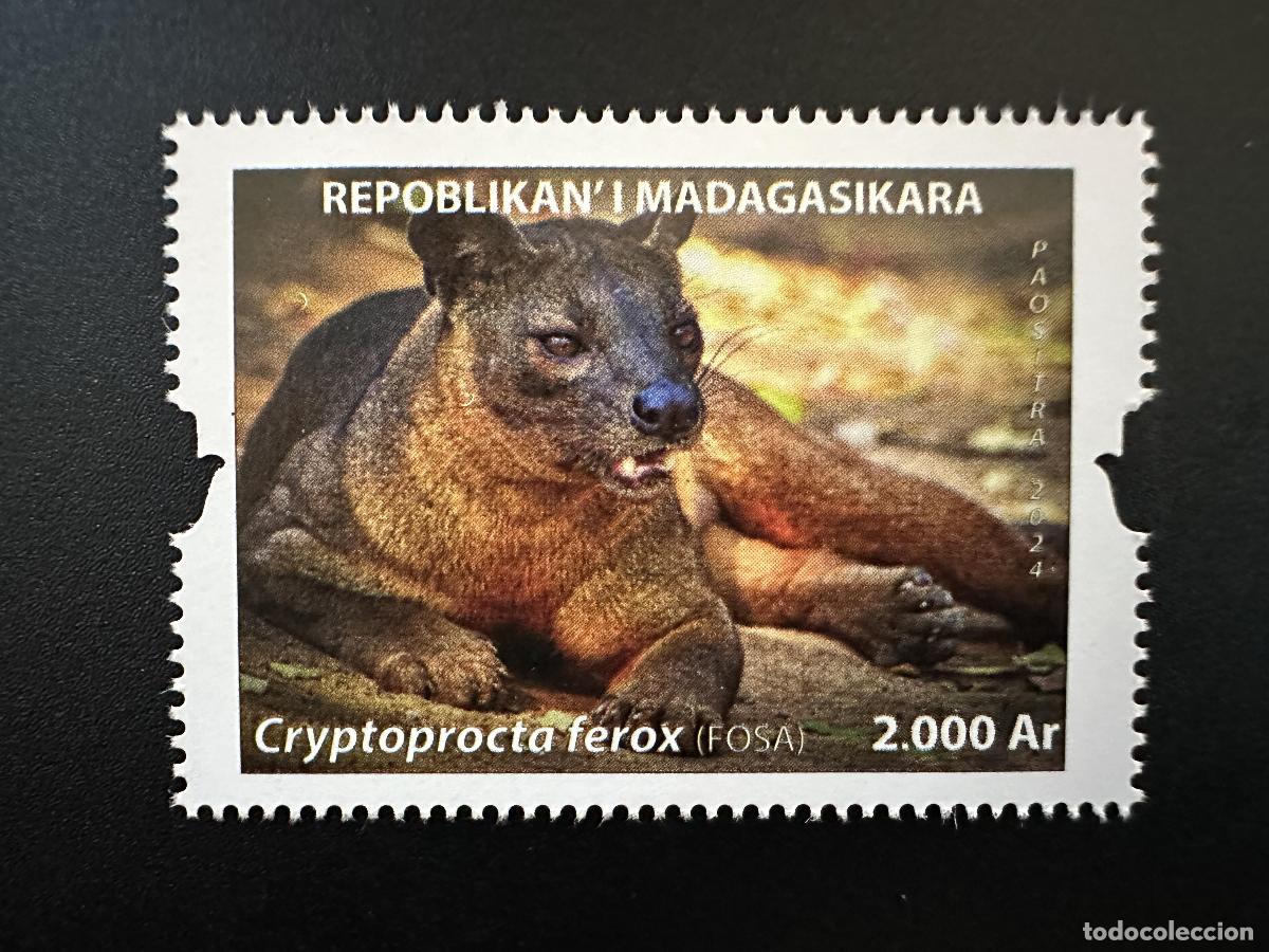 Sellos: Madagascar 2024/2025 Mi.? Fauna felina y de Cryptoprocta ferox Fosa