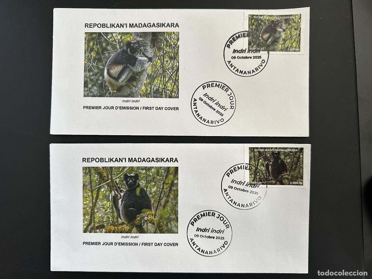 Sellos: Madagascar 2024/2025 Mi.? FDC: Indri l&eacute;mures y