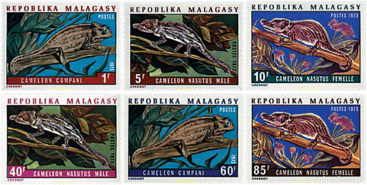Sellos: 81415 MNH MADAGASCAR 1973 CAMALEONES