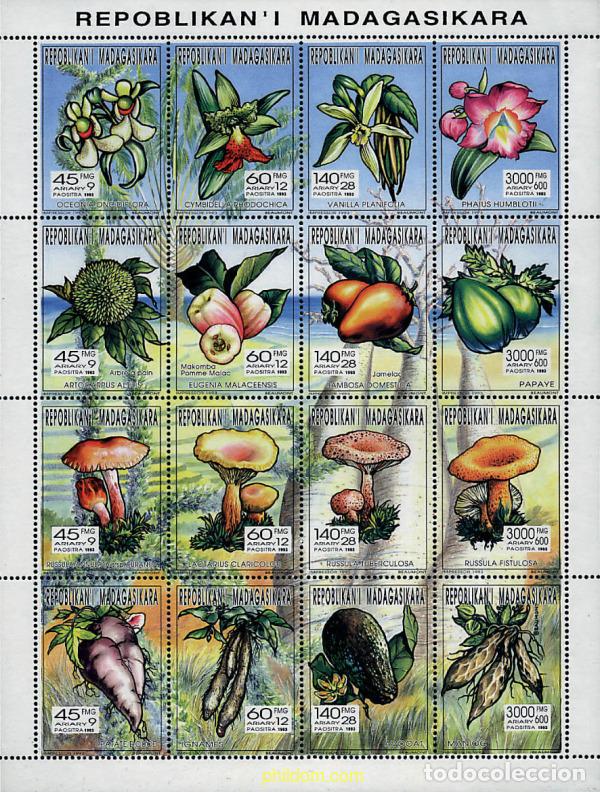 Sellos: 290046 MNH MADAGASCAR 1993 FLORA