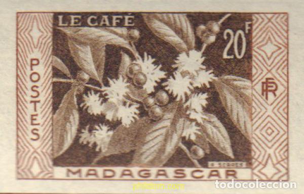 Sellos: 13097 MNH MADAGASCAR 1956 EL CAFE