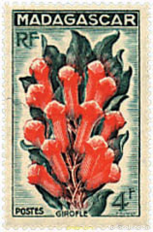 Sellos: 645298 HINGED MADAGASCAR 1957 FLORA