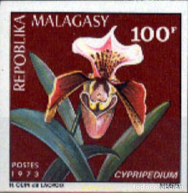 Sellos: 218853 MNH MADAGASCAR 1973 FLORES