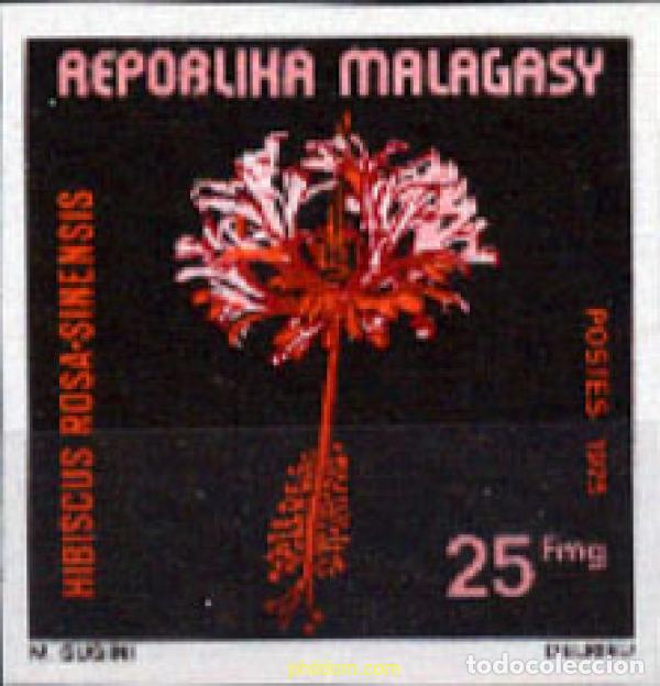 Selos: 218856 MNH MADAGASCAR 1975 FLORES