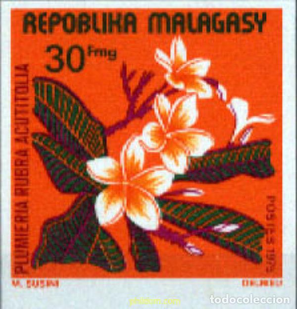 Selos: 218857 MNH MADAGASCAR 1975 FLORES