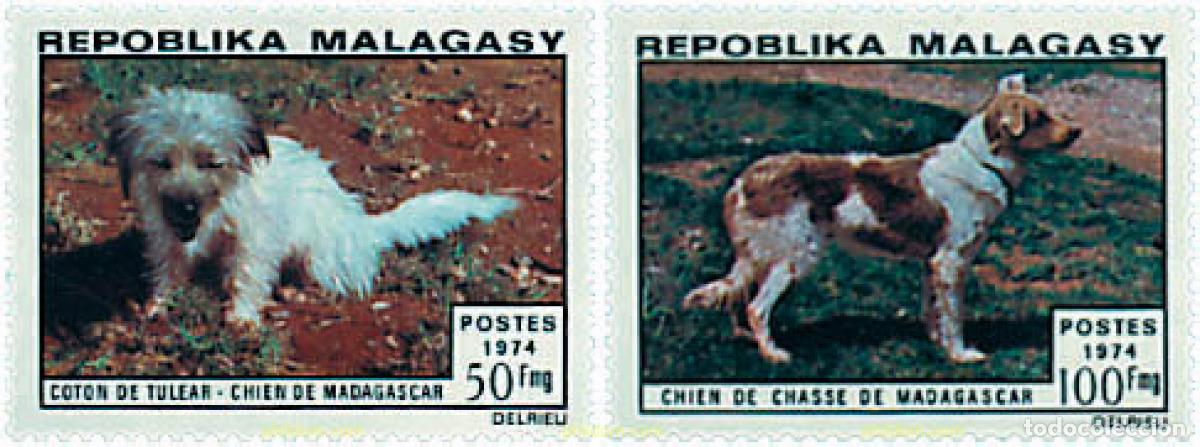 Sellos: 50509 MNH MADAGASCAR 1974 PERROS DE RAZA