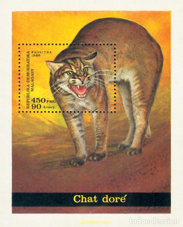 Sellos: 54037 MNH MADAGASCAR 1986 GATO