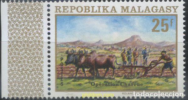 Sellos: 656973 MNH MADAGASCAR 1972 AGRICULTURA
