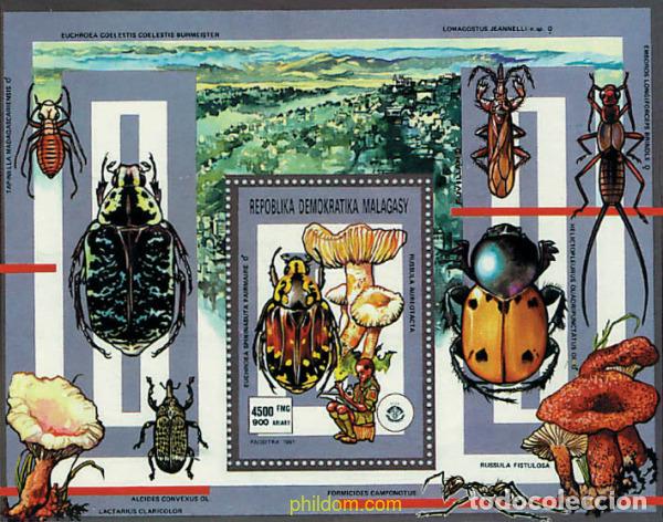 Sellos: 38588 MNH MADAGASCAR 1991 ESCULTISMO. SETAS E INSECTOS