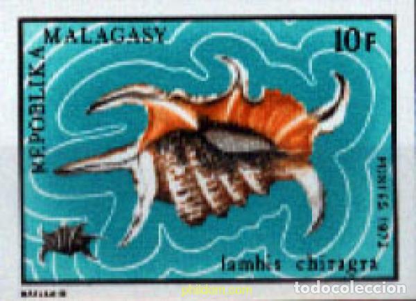Sellos: 218846 MNH MADAGASCAR 1973 CONCHAS