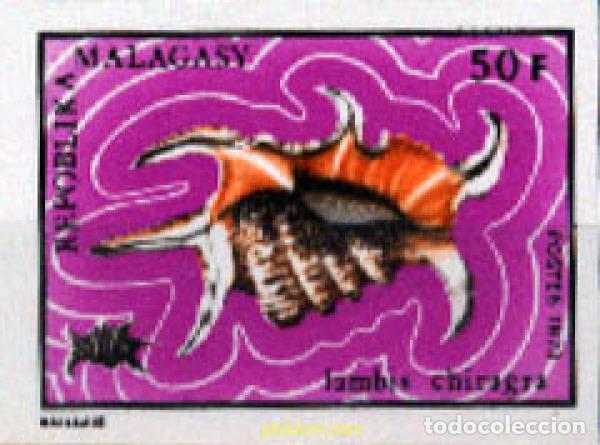 Sellos: 218849 MNH MADAGASCAR 1973 CONCHAS