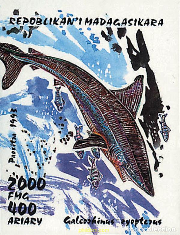 Sellos: 41524 MNH MADAGASCAR 1993 TIBURONES
