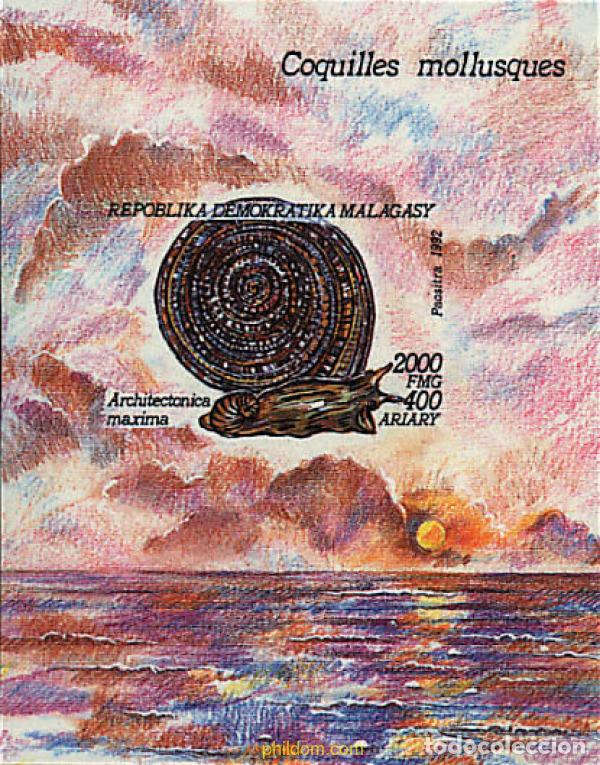 Sellos: 31561 MNH MADAGASCAR 1993 MOLUSCOS