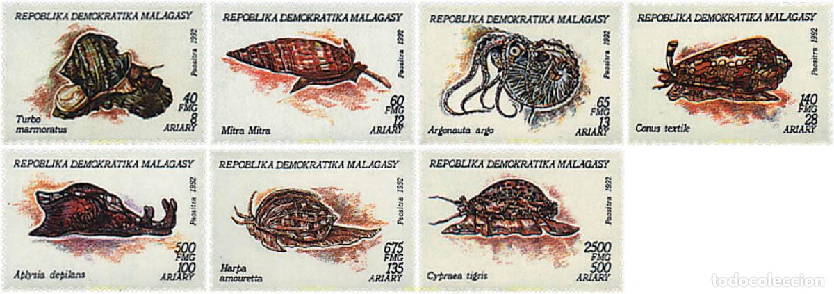Sellos: 53207 MNH MADAGASCAR 1993 CONCHAS