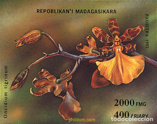 Sellos: 100164 MNH MADAGASCAR 1993 ORQUIDEAS