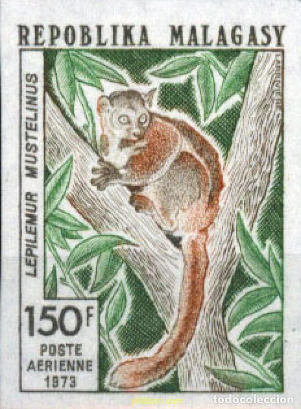 Sellos: 218859 MNH MADAGASCAR 1973 LEMURES