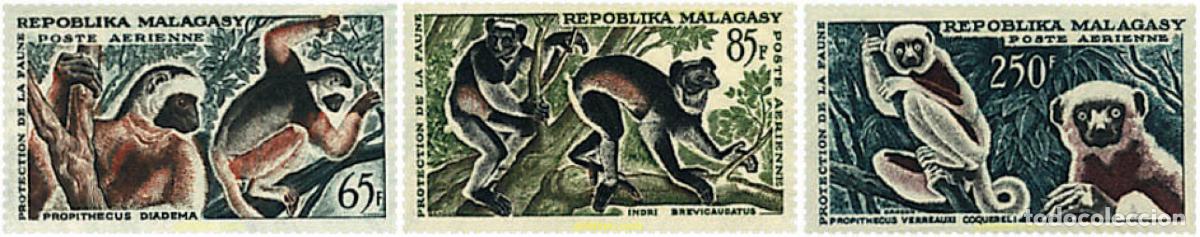Sellos: 579746 MNH MADAGASCAR 1961 PROTECCION DE LA FAUNA