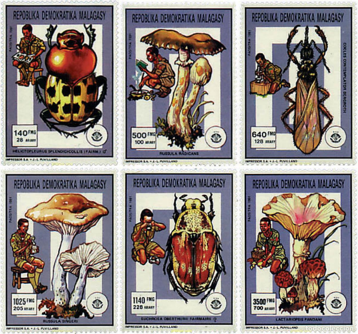 Sellos: 41242 MNH MADAGASCAR 1991 ESCULTISMO. SETAS E INSECTOS