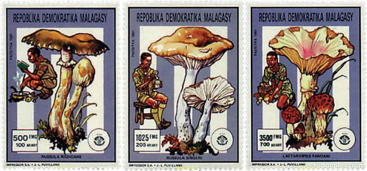 Sellos: 218914 MNH MADAGASCAR 1991 ESCULTISMO. SETAS E INSECTOS