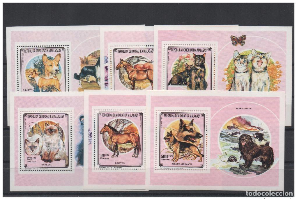 Sellos: Madagascar 1991 Mascotas Animales Perro Gato Caballos Pferd Haustiere Mi. N&uacute;m. 167-172