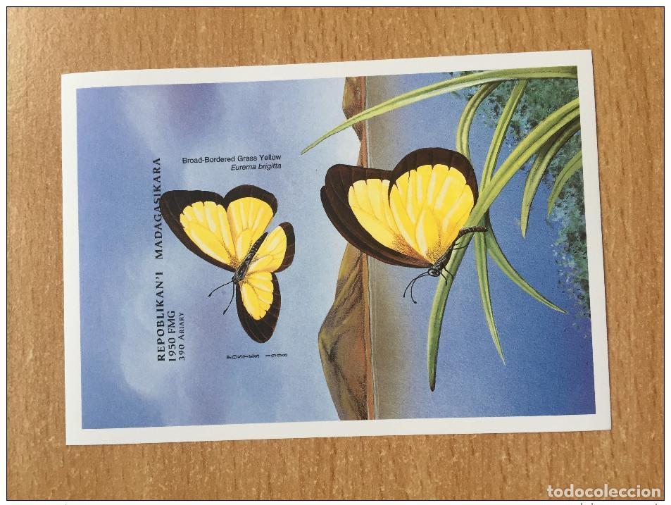Sellos: Madagascar 1998 Mi. Bl. 285 Fauna Butterflies **MNH IMPERF SIN CORDONES