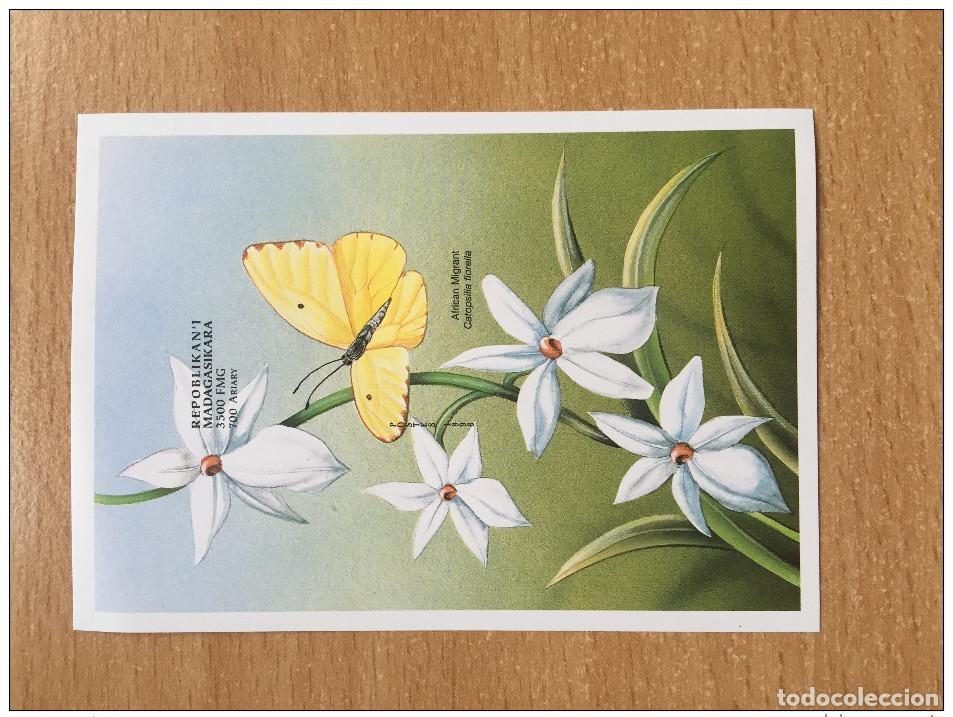 Sellos: Madagascar 1998 Mi. Bl. 287 Fauna Butterflies **MNH IMPERF SIN CORDONES