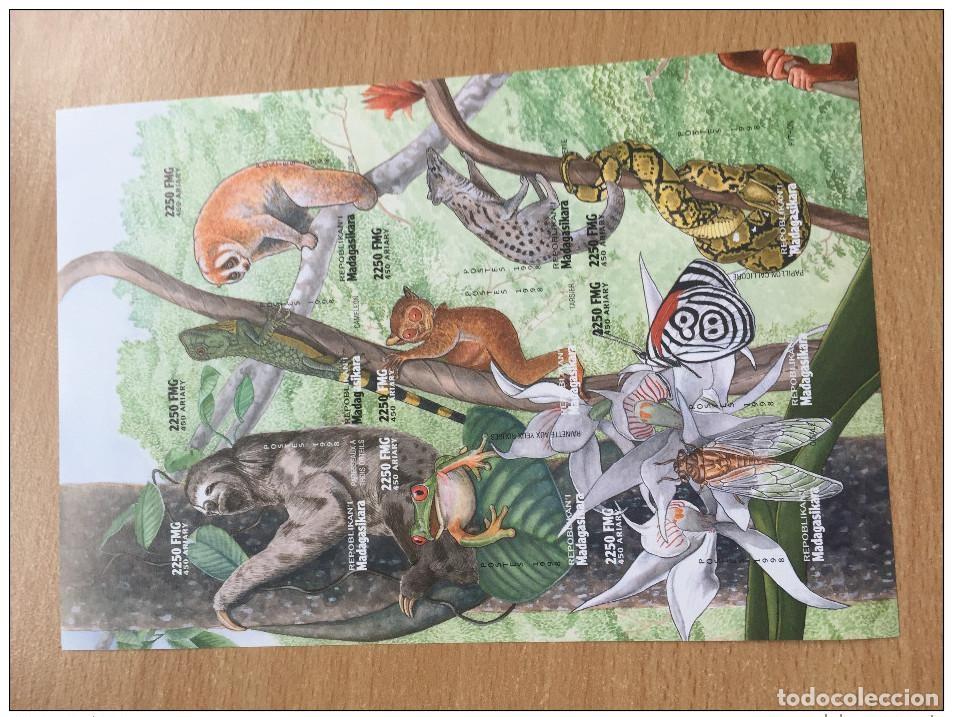 Sellos: Madagascar 1999 Mi. 2160-68 Fauna Leopardo Mono Mariposa **MNH IMPERF ND