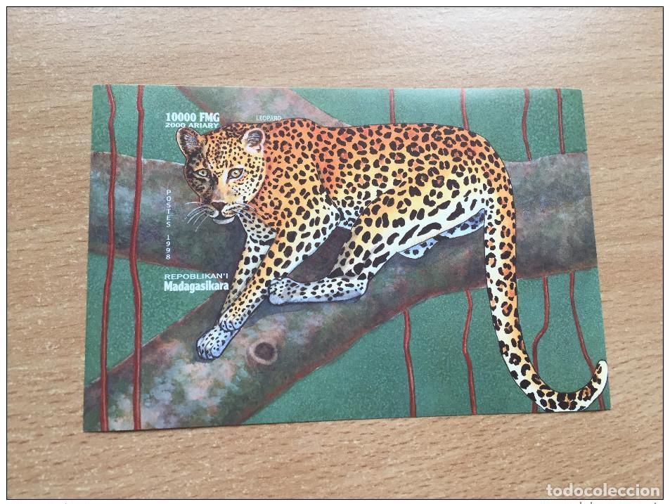 Sellos: Madagascar 1999 Mi. N&ordm; 294 Fauna felino leopardo y pantera **MNH IMPERF ND