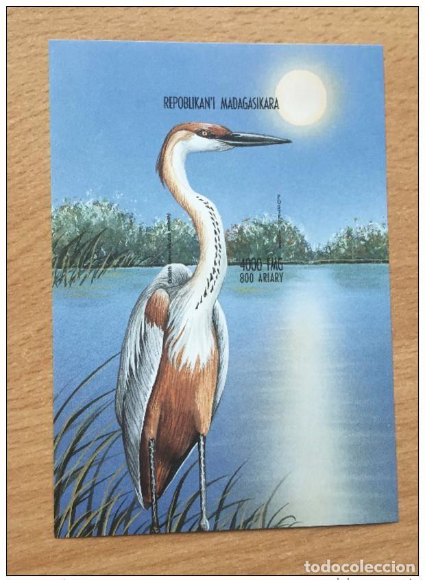 Sellos: Madagascar 1999 Mi. Bl. 289 Fauna Bird Ardea Goliat **MNH IMPERF ND