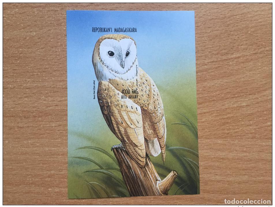 Sellos: Madagascar 1999 Mi. Bl. 288 Fauna Bird Ardea Tyto Alba **MNH IMPERF ND
