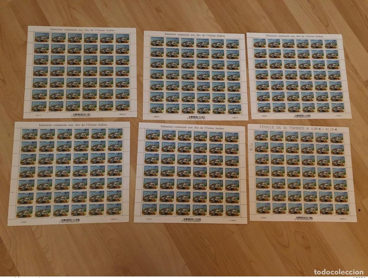 Timbres: HOJAS: La tortuga verde edici&oacute;n conjunta de 2014: Vida silvestre Madagascar Francia Comoras