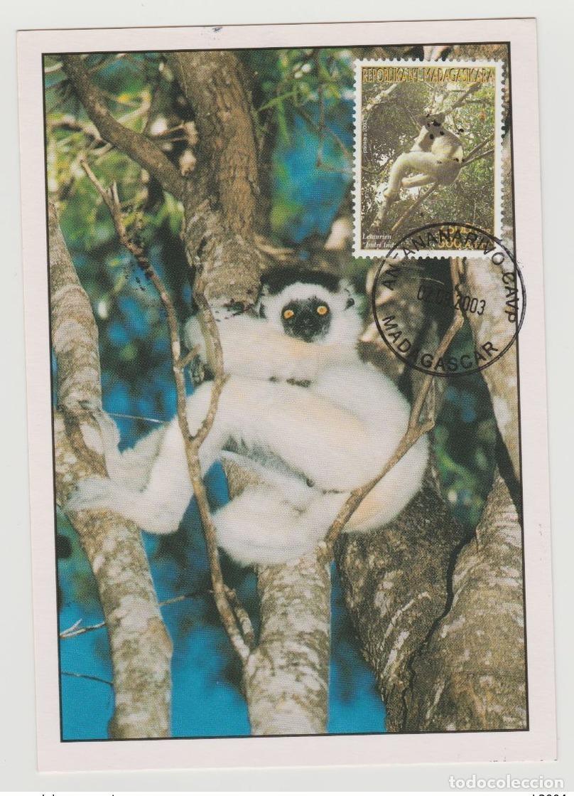 Sellos: Madagascar 2003 Mi. 2605 Mapa M&aacute;xima fauna de l&eacute;mures y