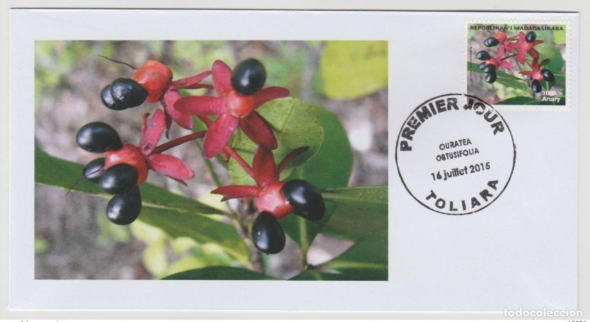 Sellos: Madagascar 2014/2015 FDC 1er d&iacute;a Mi. 2683/2684 Flores Hildegardia Ouratea
