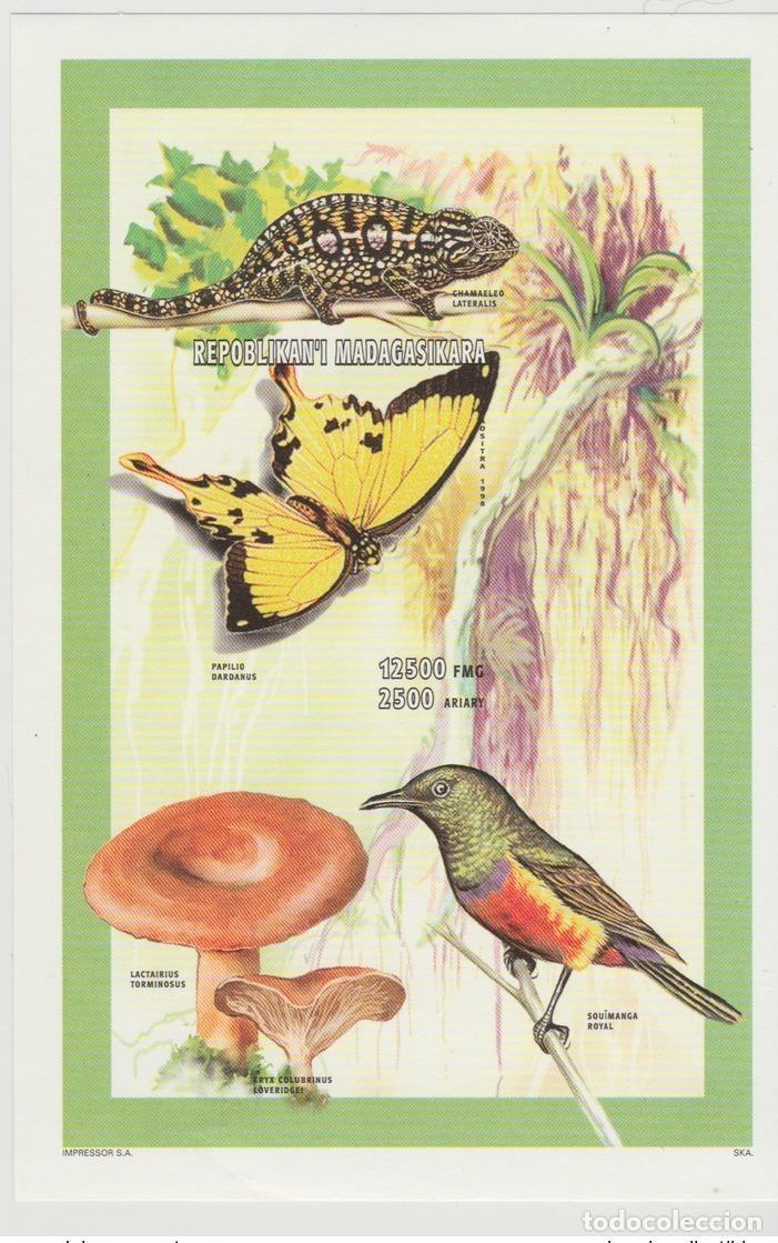 Sellos: Madagascar 1998 Mi. Bl. 280B Mariposa Seta Pilz Bird