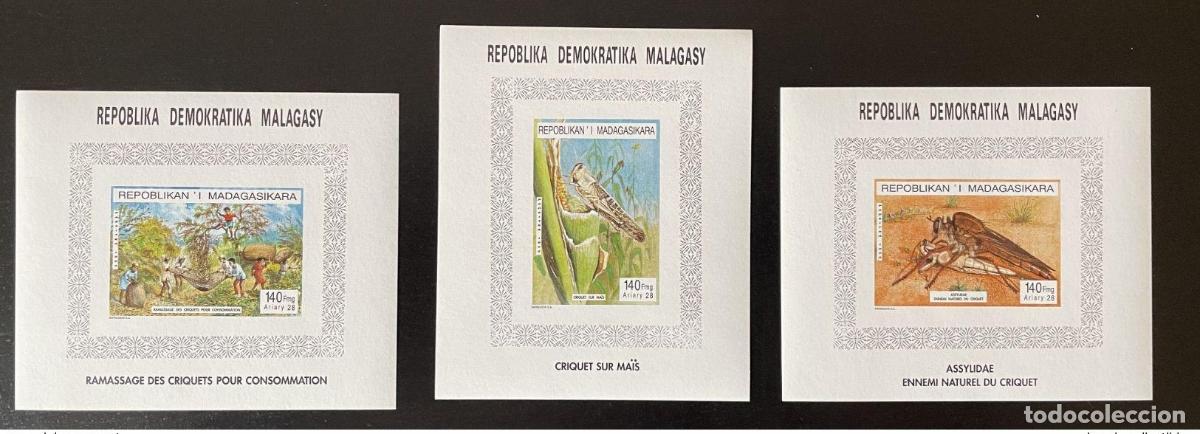 Sellos: Madagascar 1995 Mi. Bl. A-C264: Insectos langostas fauna de saltamontes Heuschrecken
