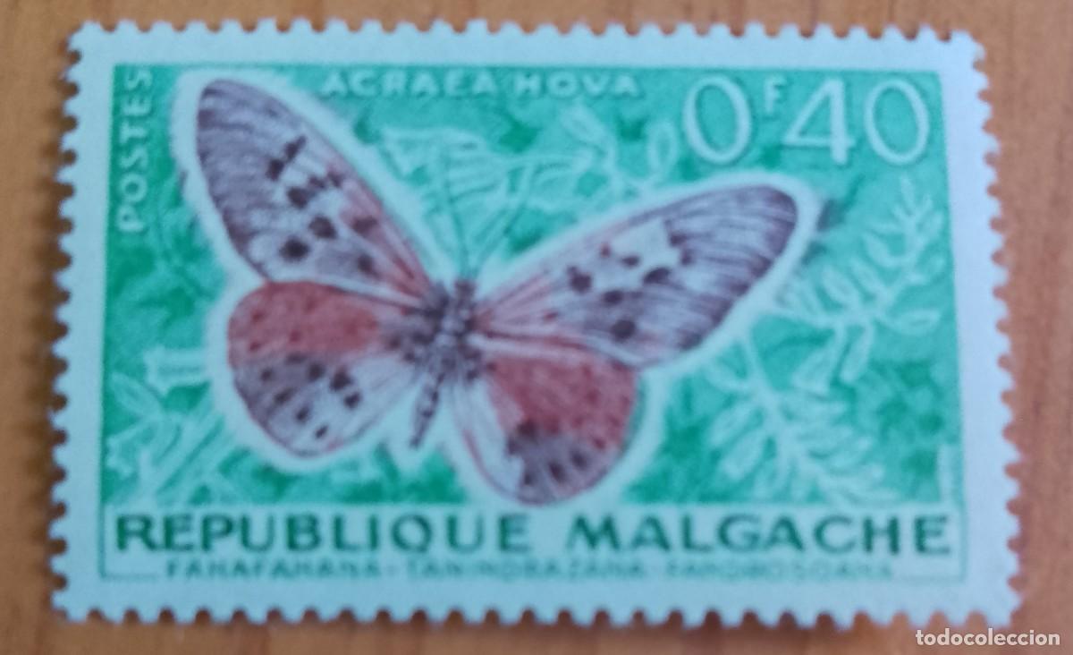 Sellos: MALGACHE, MADAGASCAR - V/F 0,40 - ACRAEA HOVA.