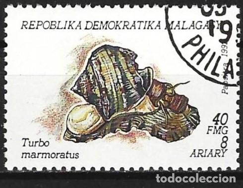 Sellos: Madagascar 1992 - Mi 1416 - YT 1151 - Concha marina