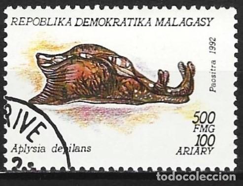 Sellos: Madagascar 1992 - Mi 1420 - YT 1155 - Concha marina