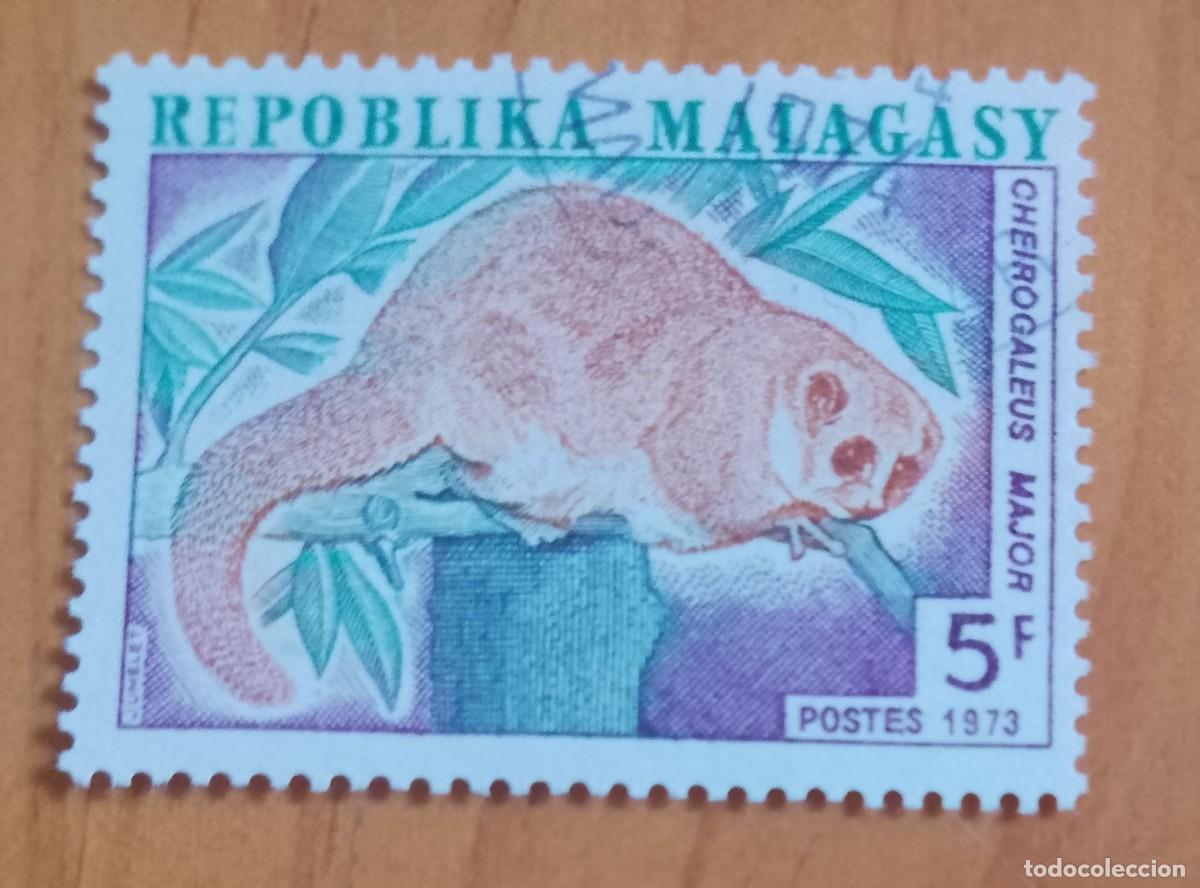 Sellos: MALGASY, MADAGASCAR - V/F 5 - FAUNA, PRIMTE, LEMUR ENANO MAYOR - VER DESCRIPCI&Oacute;N.