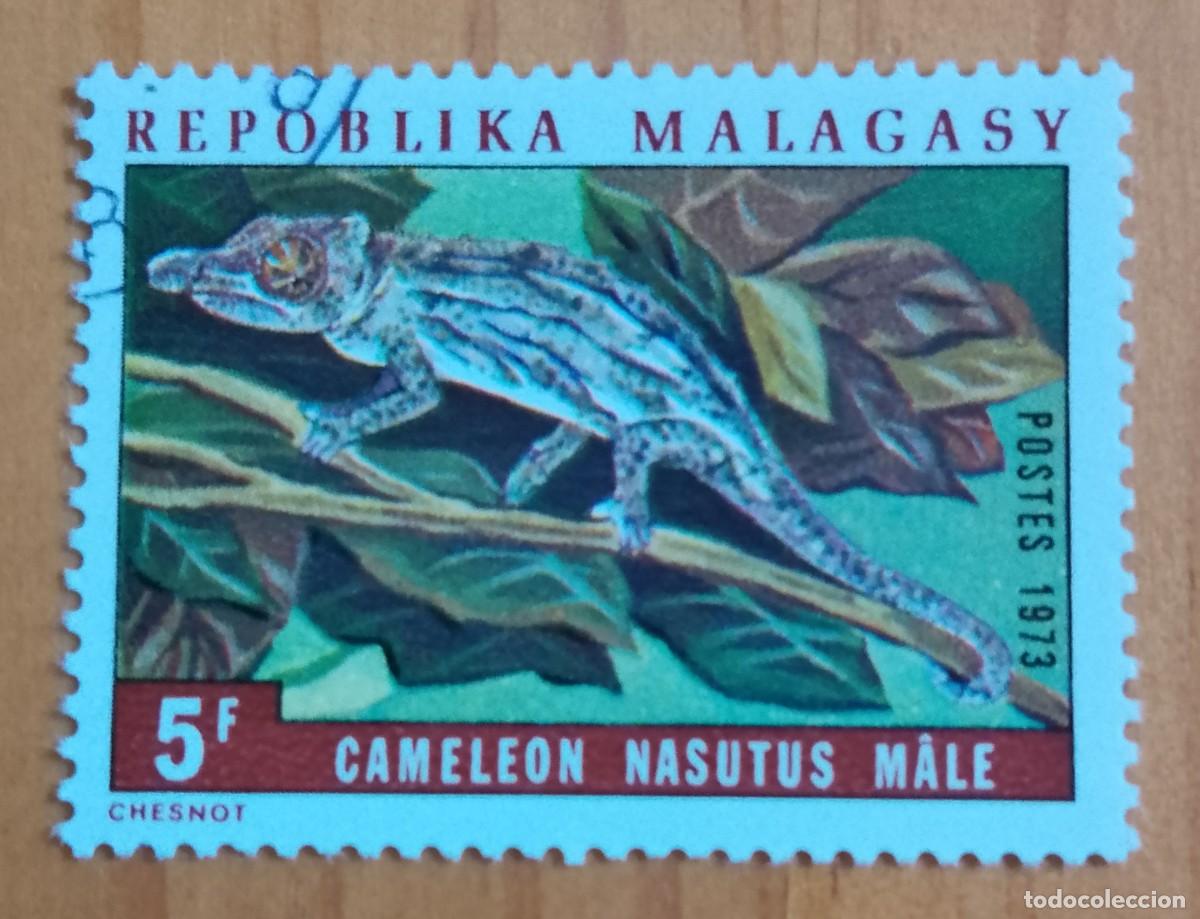 Sellos: MALAGASY, MALGACHE, MADAGASCAR - 5 F - FAUNA, REPTIL, CAMALEON NARIGUDO - A&Ntilde;O 1973 - VER DESCRIPCI&Oacute;N